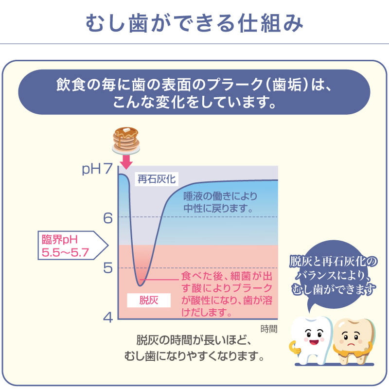 むし歯ができる仕組み